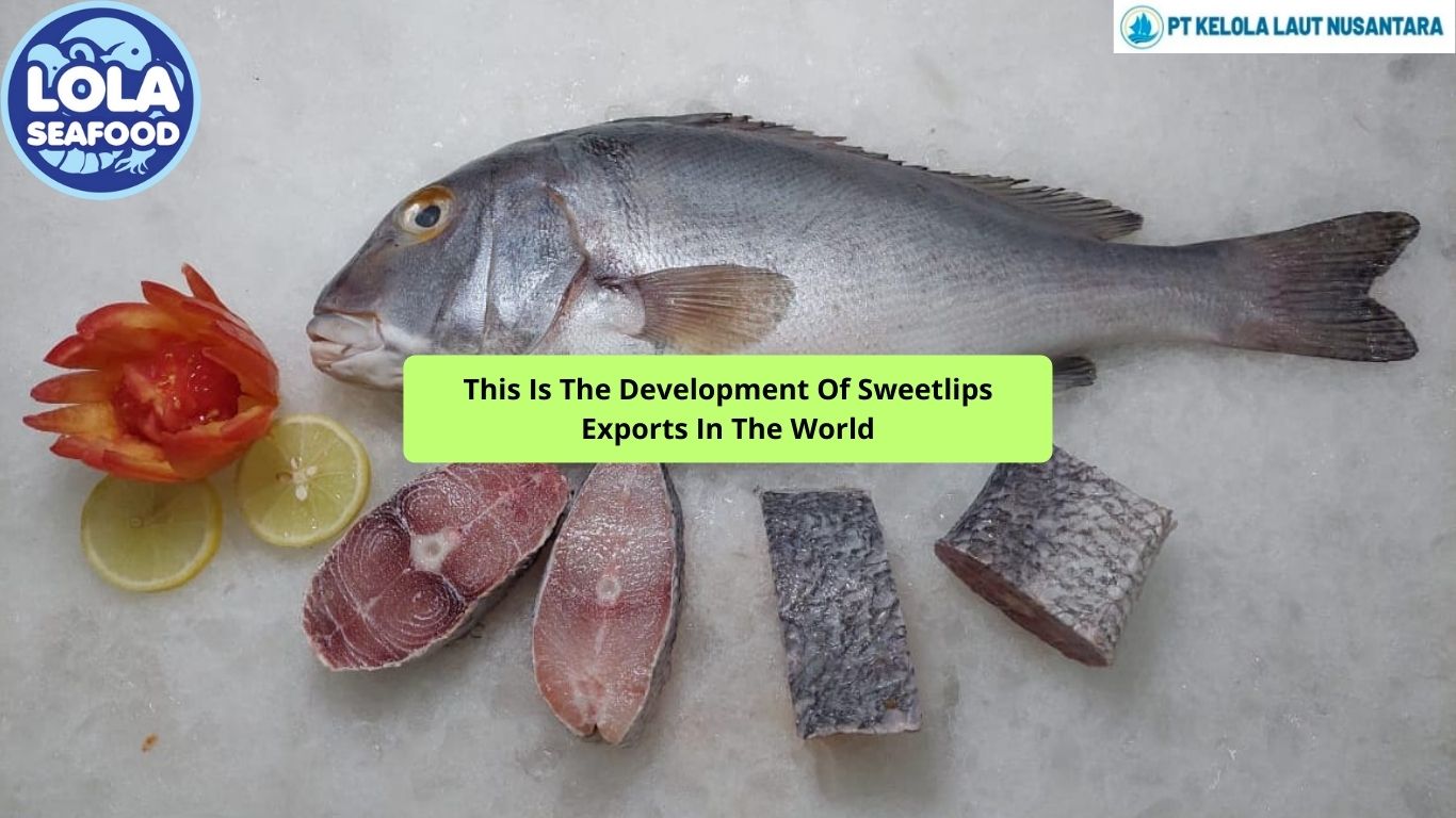 This Is The Development Of Sweetlips Exports In The World